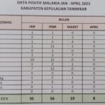 Infografis Kasus Malaria di Kabupaten Kepulauan Tanimbar selama 4 bulan terakhir.