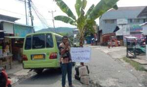 Merasa Dibohongi, Sopir Angkot Tanam Pohon Pisang di Tengah Jalan