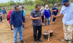 Bisa Kontrol Petani Lewap HP, Ini Irigasi Digital Farming di Telaga Kodok