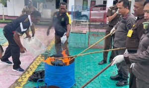 Kejari Aru Lepas 34 Burung Kakatua Jambul Kuning dan 2 Raja ke Alam Bebas