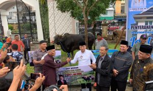 Serahkan Hewan Kurban dari Presiden Jokowi, Ini Pesan Pj Gubernur Maluku