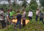 Mayat Tanpa Identitas Ditemukan Membusuk di Kebun Cengkeh
