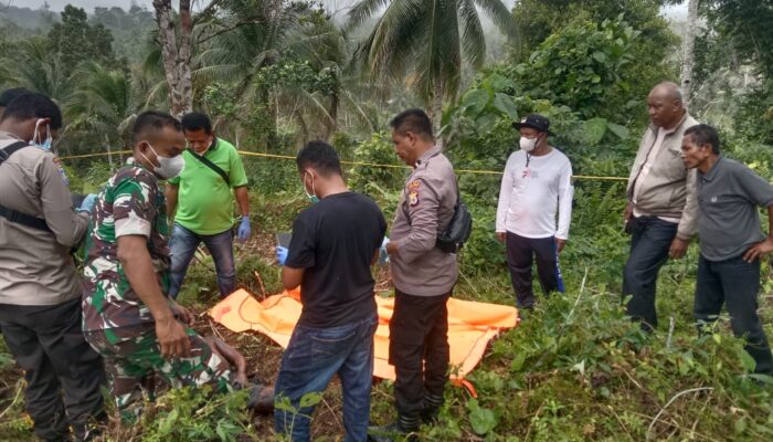 Mayat Tanpa Identitas Ditemukan Membusuk di Kebun Cengkeh