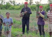 Petani Bawang Merah