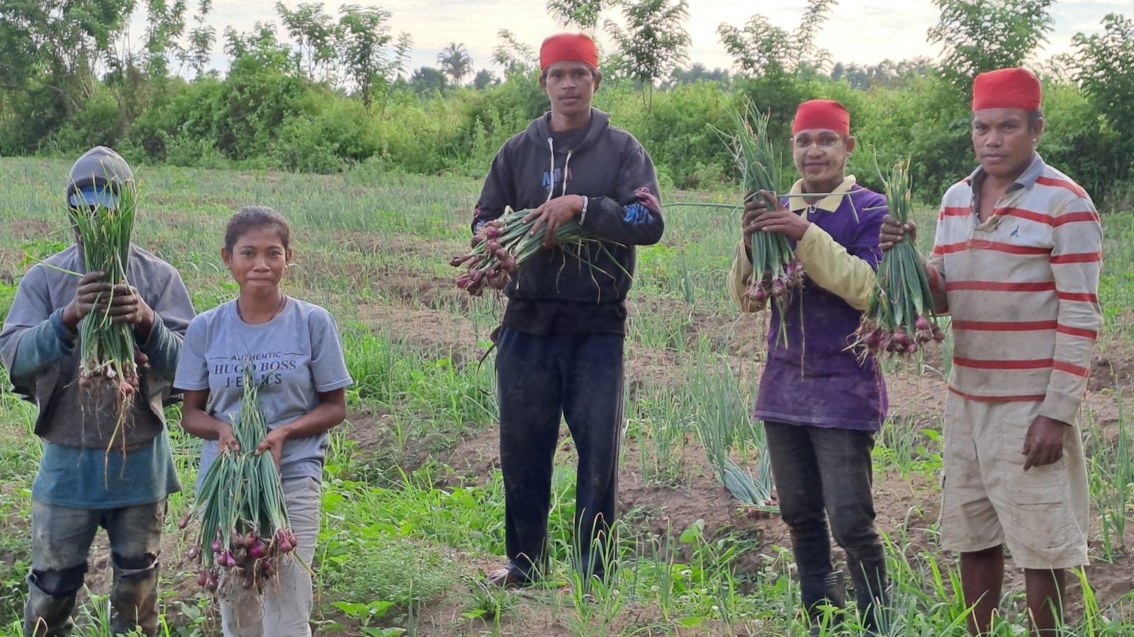 Petani Bawang Merah