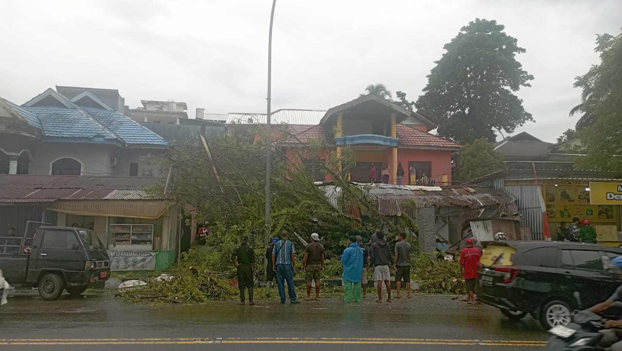 Pohon Tumbang