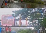 Cuaca Ekstrim Pohon Tumbang di Sejumlah Lokasi; BPBD Imbau Warga Waspada