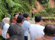 Tinjau lokasi bencana