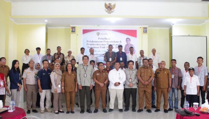Pelatihan Penyuluhan Petani Dibuka, Ini Target Lahan Padi di Maluku