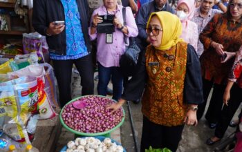 Sidak Pasar