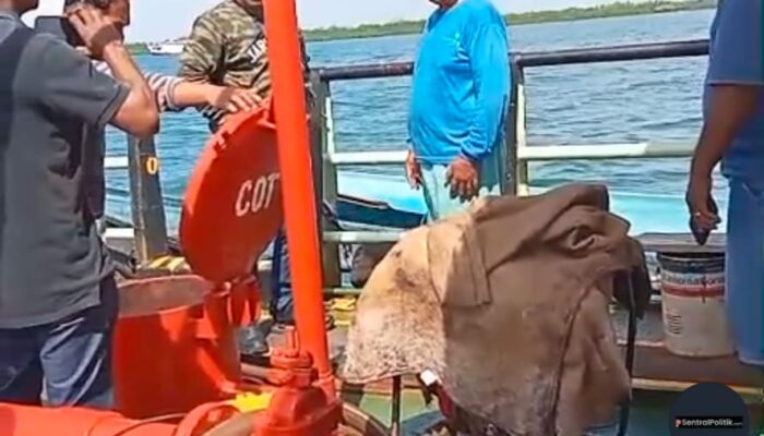 Smooth Criminal in Crocodile Deandy; Vidio di ‘Lubang Hitam’ Laut Arafura