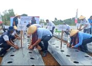Gubernur Pimpin Gerakan Tanam 100 Ribu Anakan Cabai Serempak di Maluku; Tahan Pangan, Tekan Inflasi