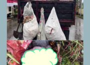 Orok Bayi Ditemukan di Bak Sampah, Warga Passo Gempar