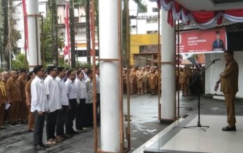 Tim Pemanfaatan RTH