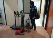 Polda Maluku Gagalkan Perdagangan Belasan Ekor Burung Dilindungi