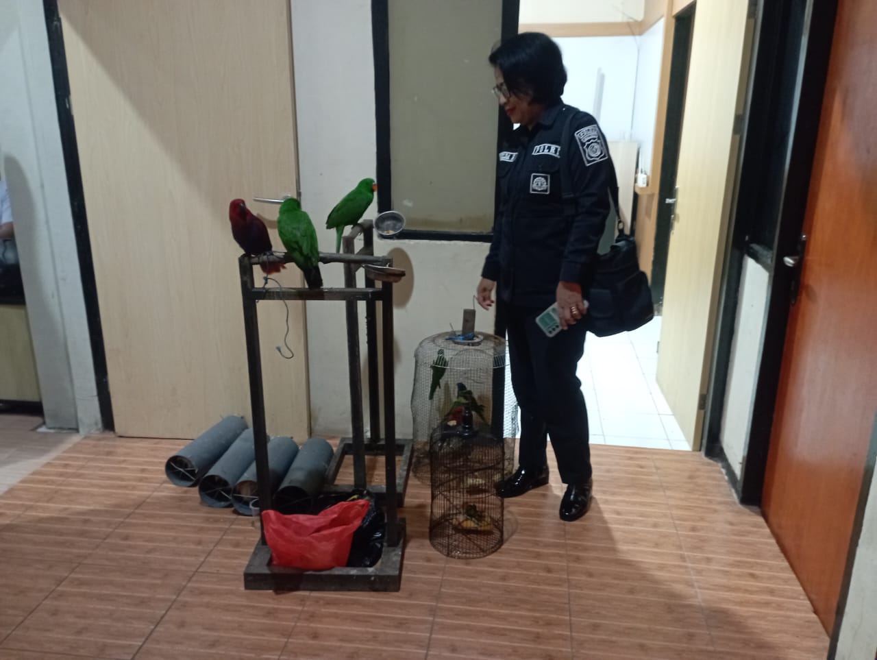 Amankan Belasan ekor Burung