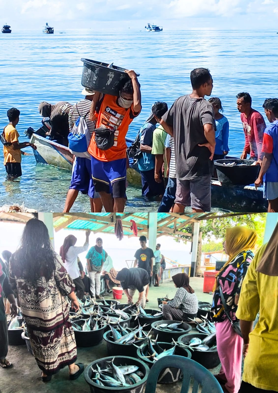 Hasil Tangkapan Nelayan Yainuelo