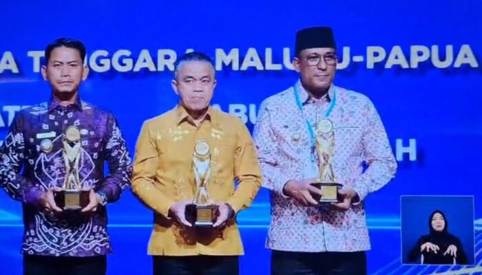 Percepat Inklusi Keuangan, Bupati Malteng Terima Penghargaan TPAKD dari Airlangga Hartanto