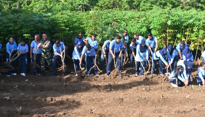 Lanud Pattimura Panen Singkong dan Semangka, Sinergi Ketahanan Pangan dan Visi Asta Cita