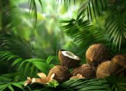 Prabowo Luncurkan Investasi Rp640 Miliar di Maluku Tengah, Klaim Kepemilikan Lahan Mencuat