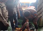 Polsek Pelabuhan Amankan 210 Liter Sopi di Pelabuhan Slamet Riyadi Ambon, Hendak Dibawa ke Weda
