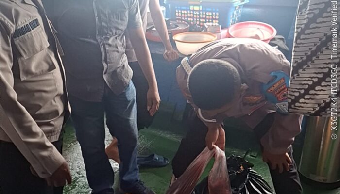 Polsek Pelabuhan Amankan 210 Liter Sopi di Pelabuhan Slamet Riyadi Ambon, Hendak Dibawa ke Weda