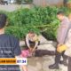 Polisi Evakuasi Jenazah Perempuan di Muara Sungai Wai Ruhu, Identitas Korban Masih Didalami
