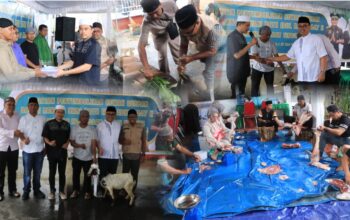 Idul Adha 1447 H, Kejati Maluku Tebar Kepedulian Lewat 18 Sapi dan 3 Kambing Kurban   