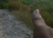 Ruas Jalan di Pulau Babar Sangat Memprihatinkan, Minta Perhatian Pemerintah 