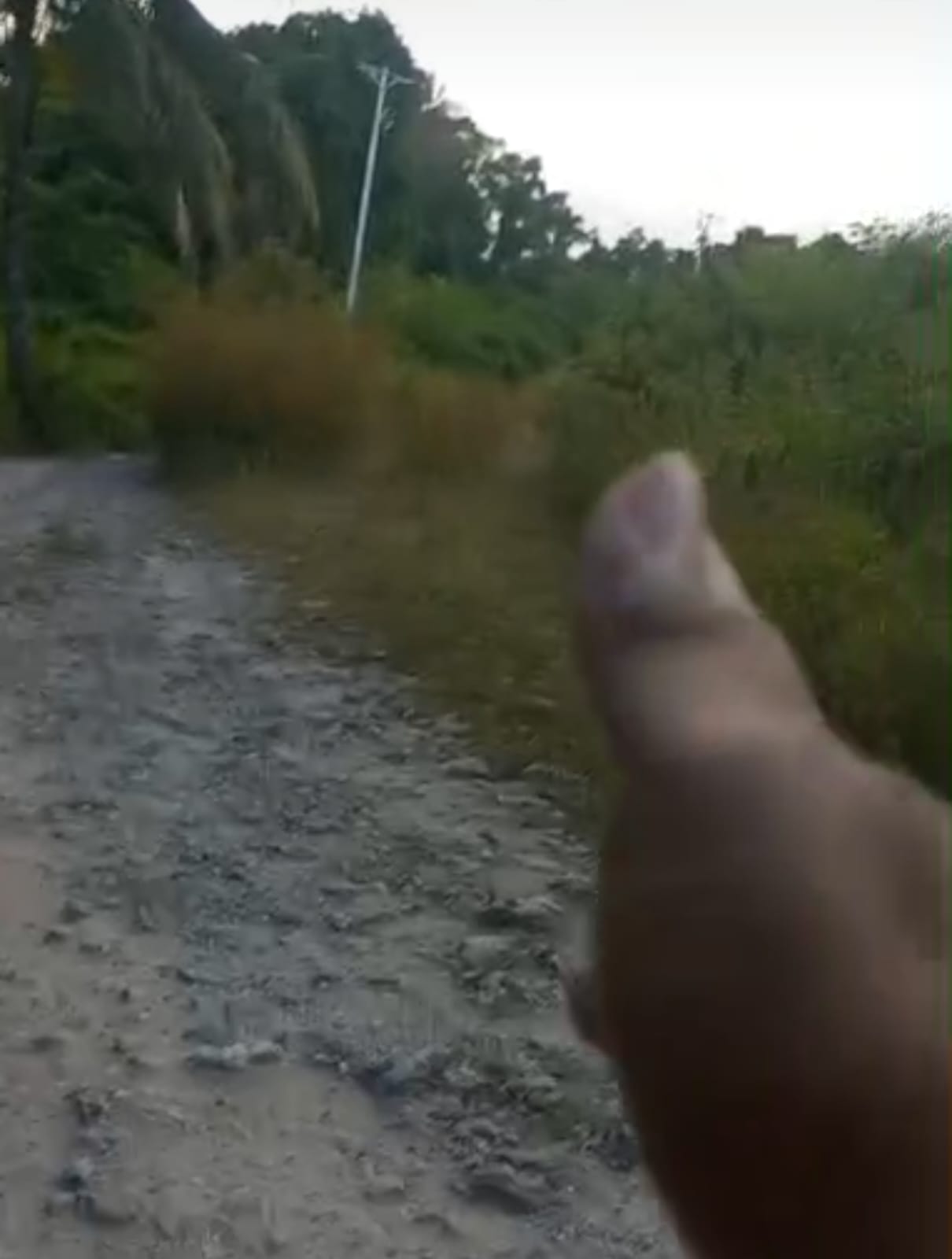 Ruas Jalan Rusak