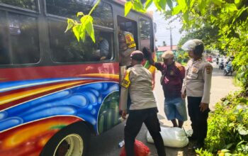 Polsek Salahutu Amankan 200 Liter Sopi dari Mobil Angkutan Umum
