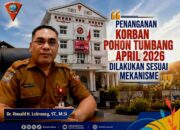 Ini Penjelasan Jubir Pemkot Ambon soal Korban Pohon Tumbang, Biaya Perawatan Capai Ratusan Juta
