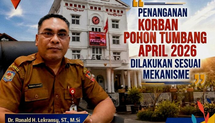 Ini Penjelasan Jubir Pemkot Ambon soal Korban Pohon Tumbang, Biaya Perawatan Capai Ratusan Juta