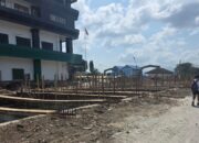 Kalesang Lingkungan Maluku Serukan Hentikan Sementara Pembangunan di Sungai Waitomu