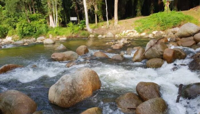 Sanitasi Sebagai Jembatan; Antara SPAM dan SPALD dalam satu Rantai Pelayanan Sanitasi Aman