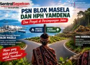 Ketika Hutan Tanimbar Berhadapan dengan Dua Persimpangan; PSN Blok Masela dan HPH Yamdena