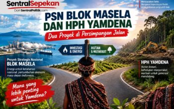 Ketika Hutan Tanimbar Berhadapan dengan Dua Persimpangan; PSN Blok Masela dan HPH Yamdena