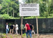 Kunjungi Lokasi HPH Yamdena Tim Gabungan Temukan Reboisasi Amburadul 