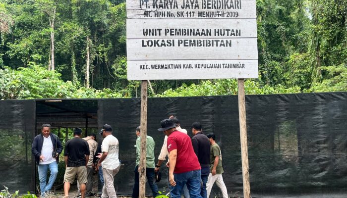 Kunjungi Lokasi HPH Yamdena Tim Gabungan Temukan Reboisasi Amburadul 