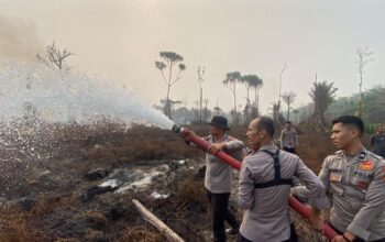 3 Jam Personil Polres SBT Berhasil Jinakkan 10 Hektare Lahan dari Amukan Api