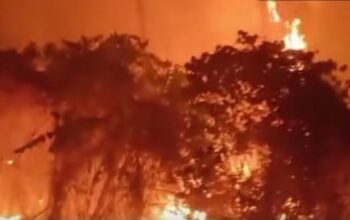 DAMPAK KARHUTLA ANCAM EKOSISTEM MALUKU, KERUGIAN LINGKUNGAN DAN EKONOMI JADI SOROTAN
