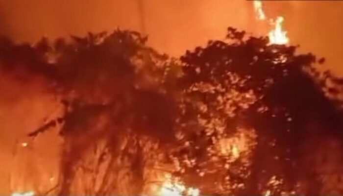 DAMPAK KARHUTLA ANCAM EKOSISTEM MALUKU, KERUGIAN LINGKUNGAN DAN EKONOMI JADI SOROTAN