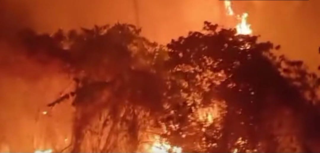 Animasi Karhutla di Maluku