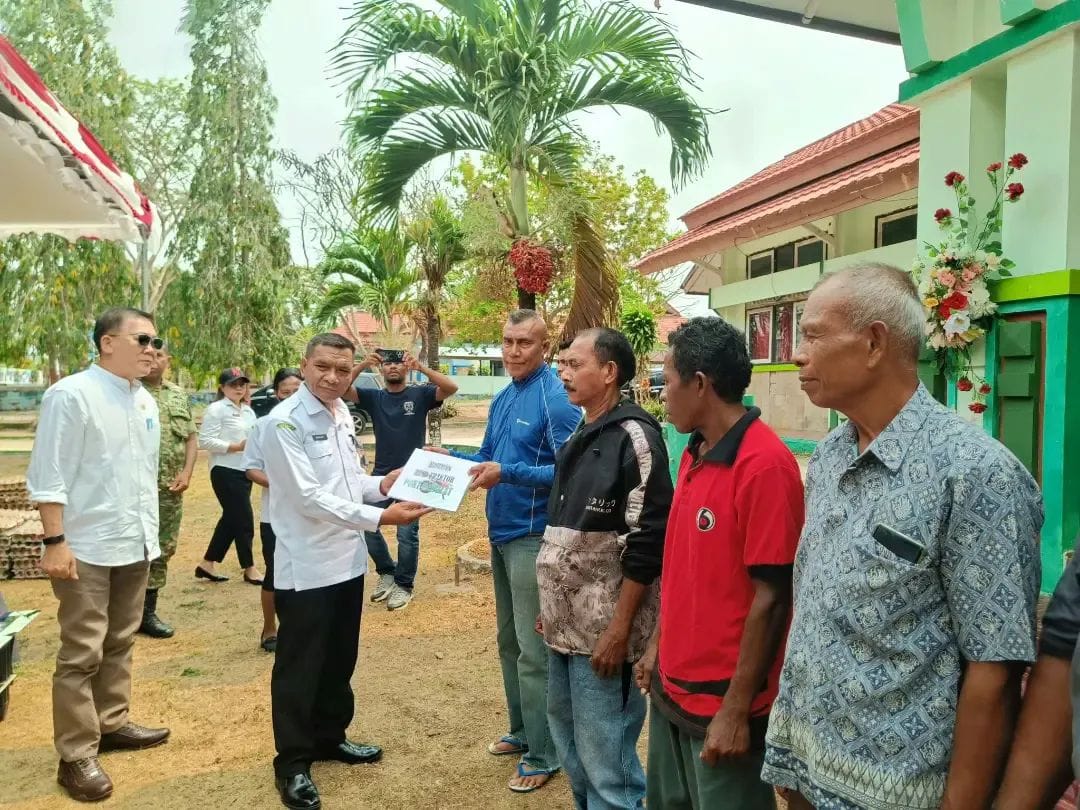 Pangan Murah