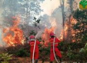Adaptasi Bukan Pengganti Tanggung Jawab Negara dalam Penanganan Kabut Asap Karhutla