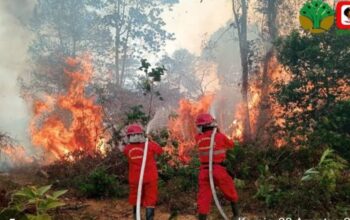 Adaptasi Bukan Pengganti Tanggung Jawab Negara dalam Penanganan Kabut Asap Karhutla