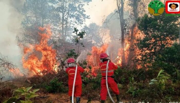 Adaptasi Bukan Pengganti Tanggung Jawab Negara dalam Penanganan Kabut Asap Karhutla